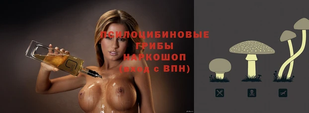 ГАЛЛЮЦИНОГЕННЫЕ ГРИБЫ Богородск