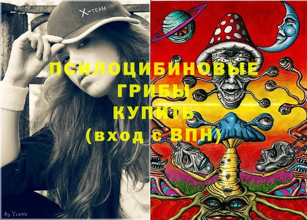 mdma Богородицк